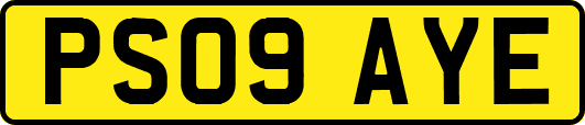 PS09AYE