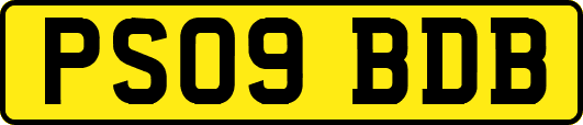 PS09BDB