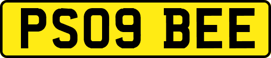 PS09BEE