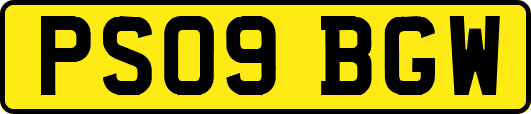 PS09BGW
