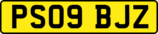 PS09BJZ