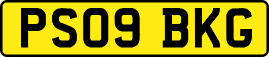 PS09BKG
