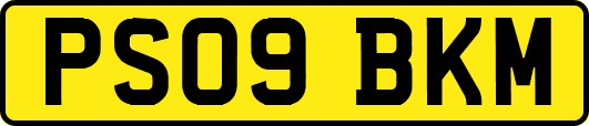 PS09BKM