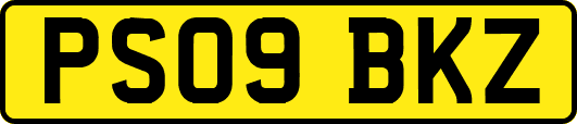 PS09BKZ