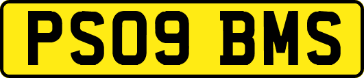 PS09BMS