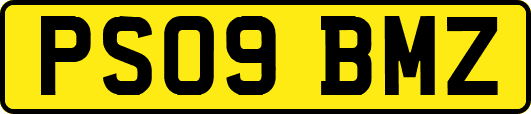 PS09BMZ