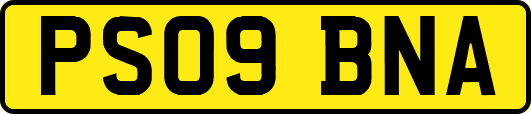 PS09BNA