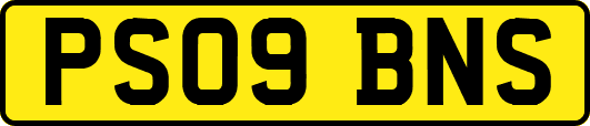 PS09BNS