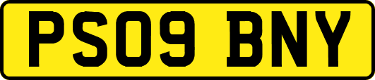 PS09BNY