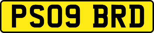 PS09BRD