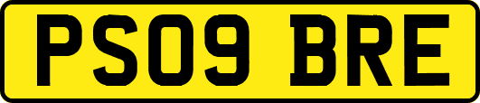 PS09BRE