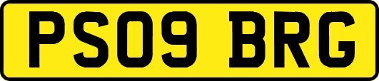 PS09BRG