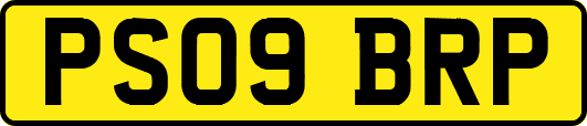 PS09BRP