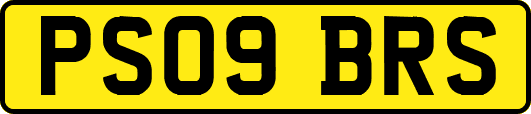 PS09BRS