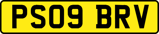 PS09BRV