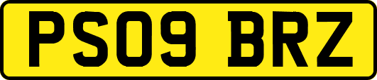 PS09BRZ