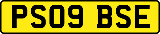 PS09BSE