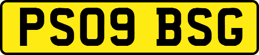 PS09BSG
