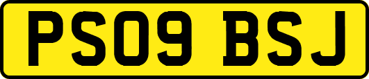PS09BSJ