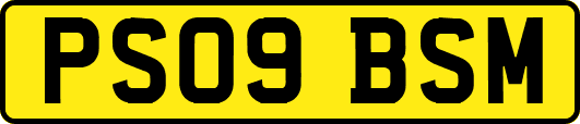 PS09BSM