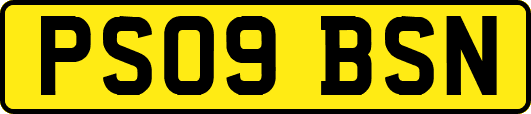 PS09BSN