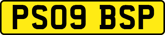 PS09BSP