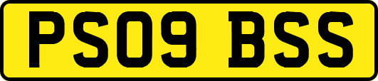 PS09BSS