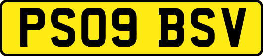 PS09BSV