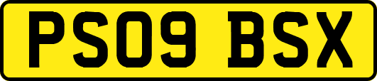PS09BSX