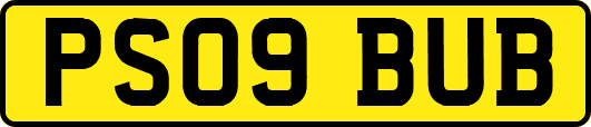 PS09BUB