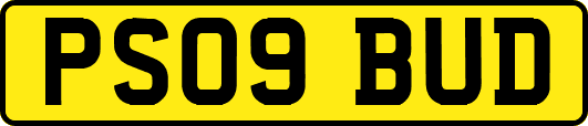 PS09BUD