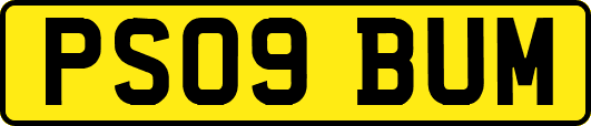 PS09BUM
