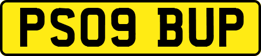 PS09BUP