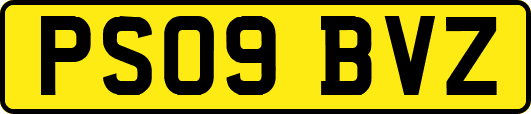 PS09BVZ