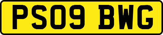 PS09BWG