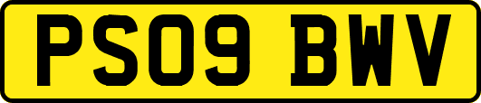 PS09BWV