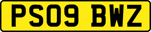 PS09BWZ
