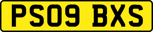 PS09BXS