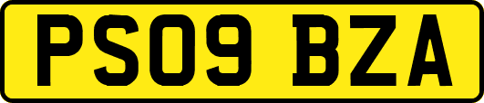 PS09BZA