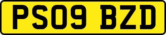 PS09BZD