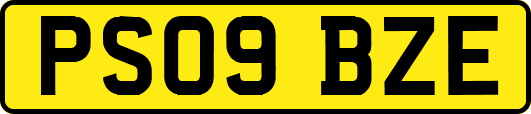 PS09BZE