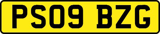 PS09BZG