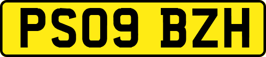 PS09BZH
