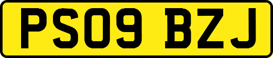PS09BZJ