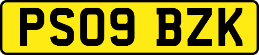 PS09BZK
