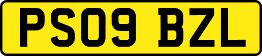 PS09BZL