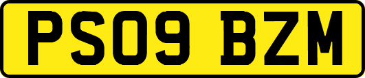 PS09BZM