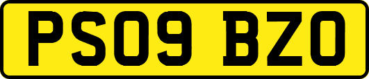 PS09BZO