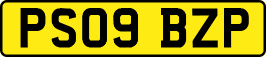 PS09BZP