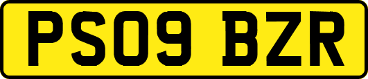 PS09BZR